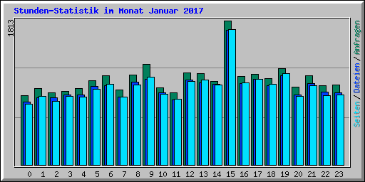 Stunden-Statistik im Monat Januar 2017
