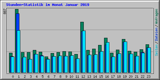 Stunden-Statistik im Monat Januar 2019
