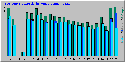 Stunden-Statistik im Monat Januar 2021