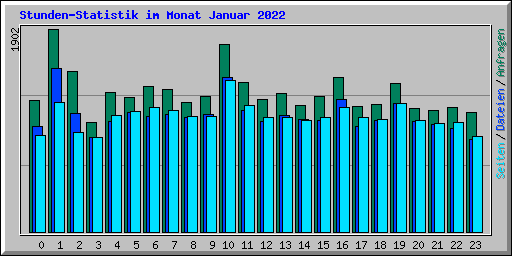 Stunden-Statistik im Monat Januar 2022