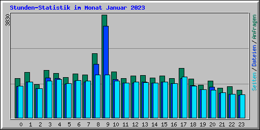 Stunden-Statistik im Monat Januar 2023