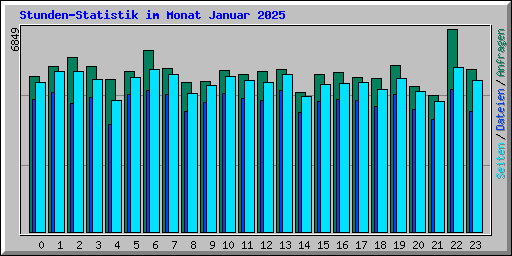 Stunden-Statistik im Monat Januar 2025