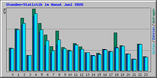 Stunden-Statistik im Monat Juni 2026